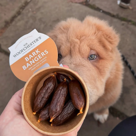 Bark Bangers Treat Pot