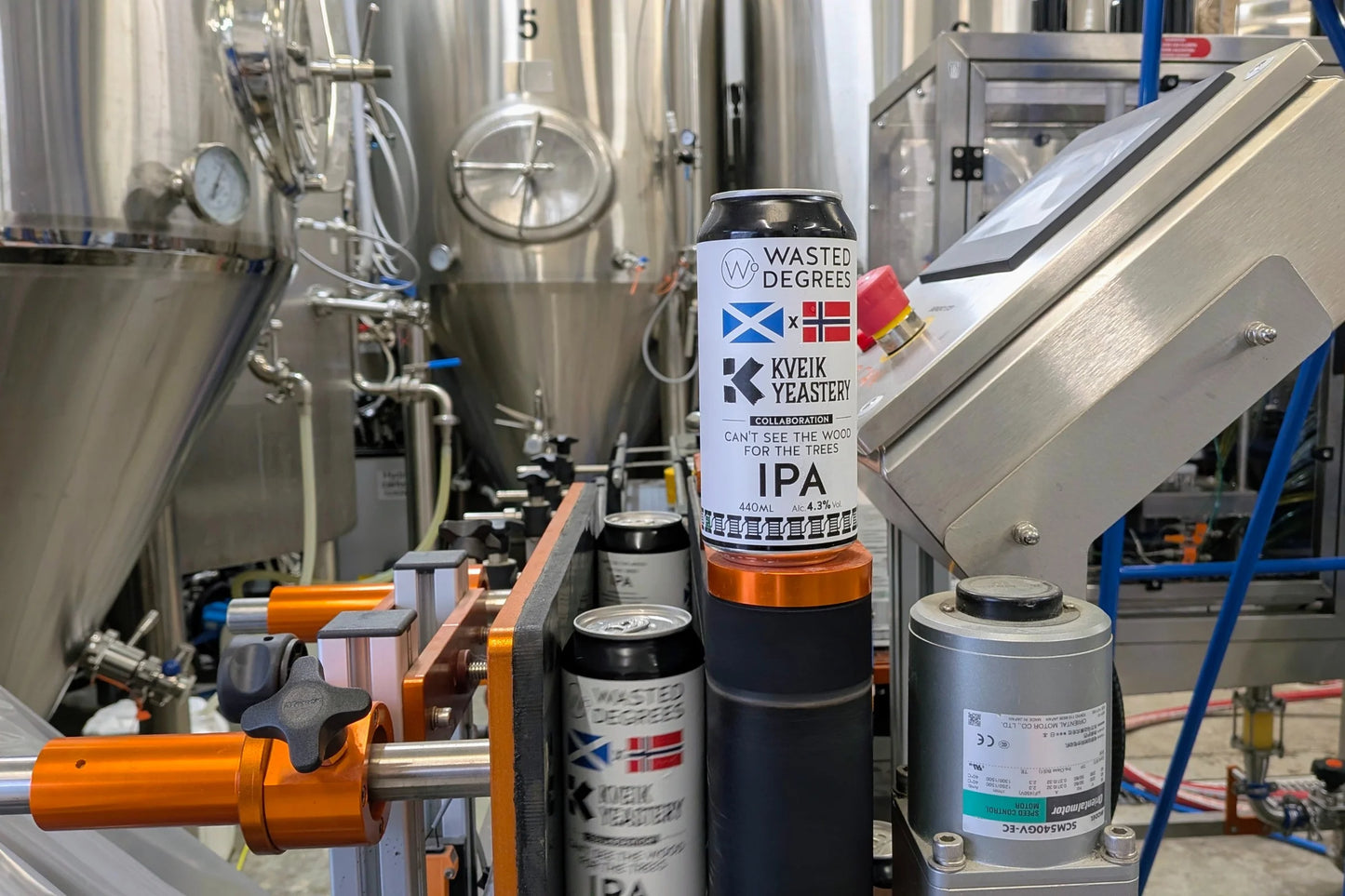 Can't See The Wood For The Trees IPA