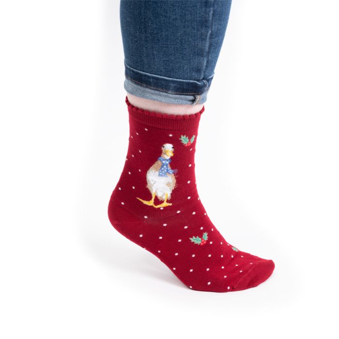'Christmas Scarves' Duck Socks