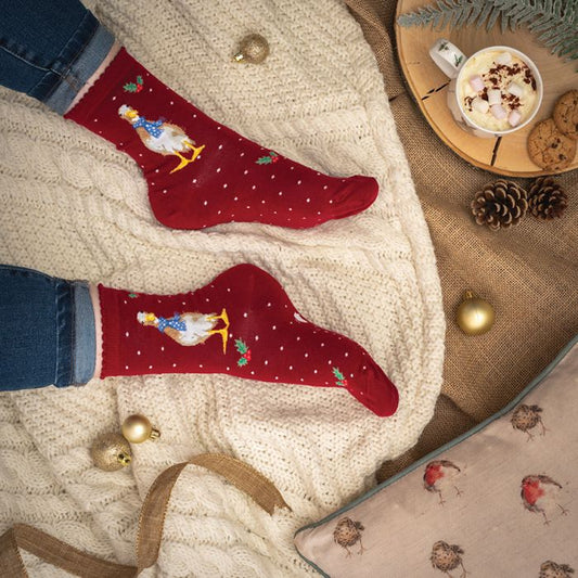 'Christmas Scarves' Duck Socks